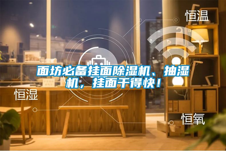面坊必備掛面除濕機(jī)、抽濕機(jī)，掛面干得快！