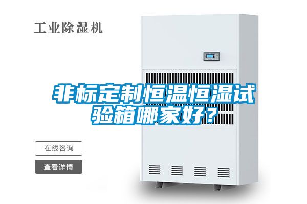非標定制恒溫恒濕試驗箱哪家好？