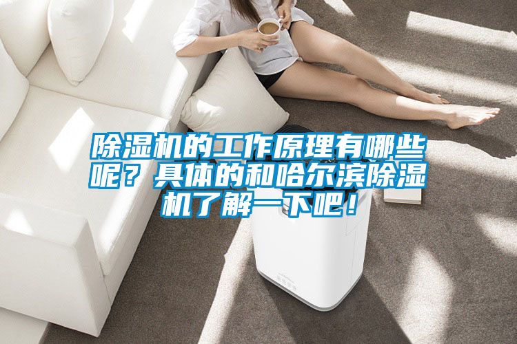 除濕機的工作原理有哪些呢？具體的和哈爾濱除濕機了解一下吧！