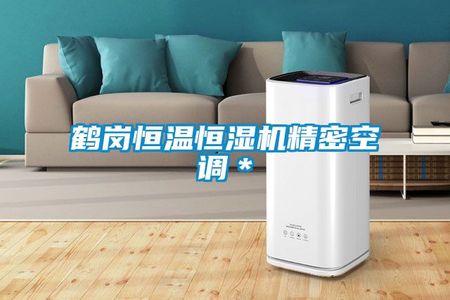 鶴崗恒溫恒濕機(jī)精密空調(diào)＊