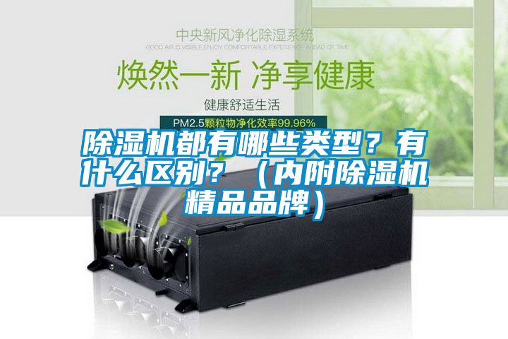 除濕機(jī)都有哪些類型？有什么區(qū)別？（內(nèi)附除濕機(jī)精品品牌）