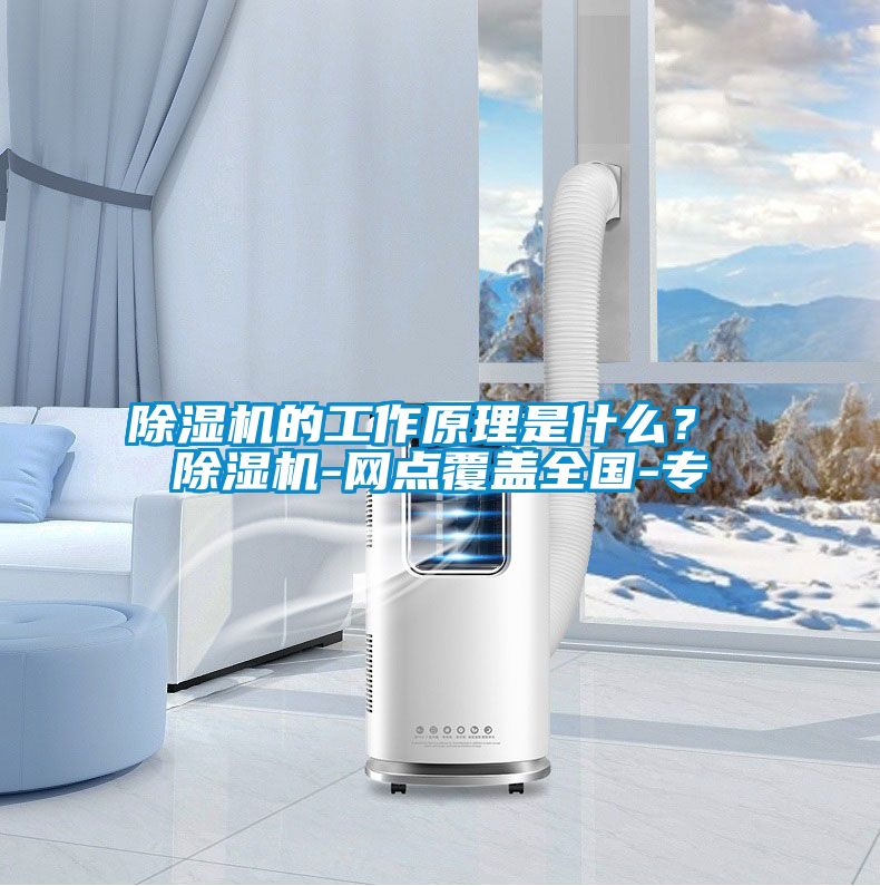 除濕機(jī)的工作原理是什么？ 除濕機(jī)-網(wǎng)點(diǎn)覆蓋全國(guó)-專(zhuān)