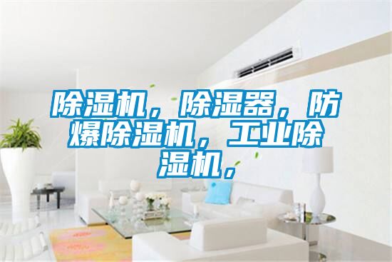 除濕機，除濕器，防爆除濕機，工業(yè)除濕機，