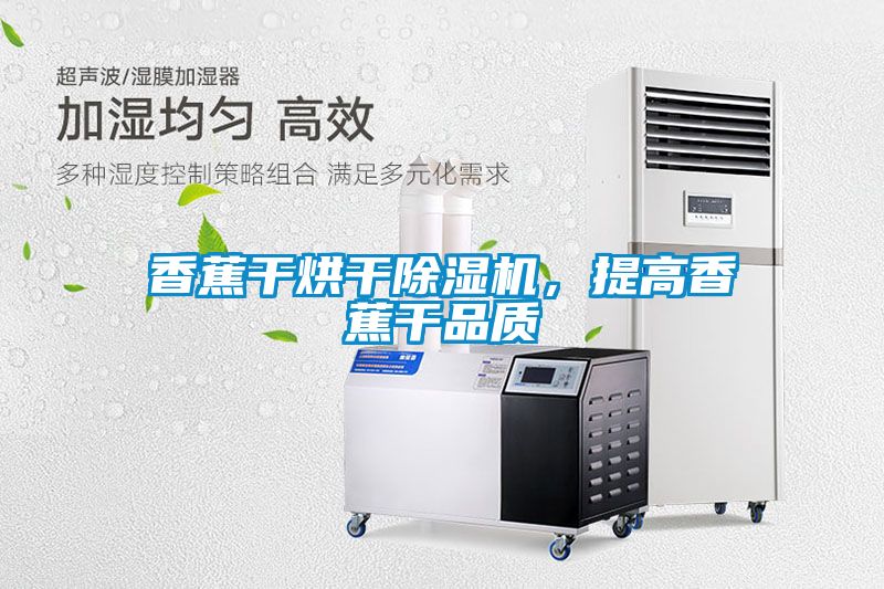 香蕉干烘干除濕機(jī)，提高香蕉干品質(zhì)