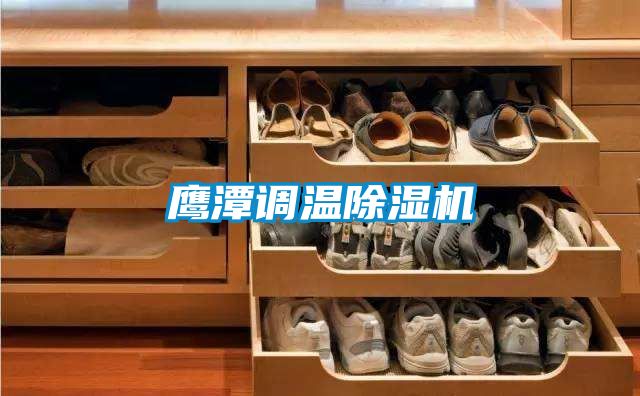 鷹潭調(diào)溫除濕機(jī)