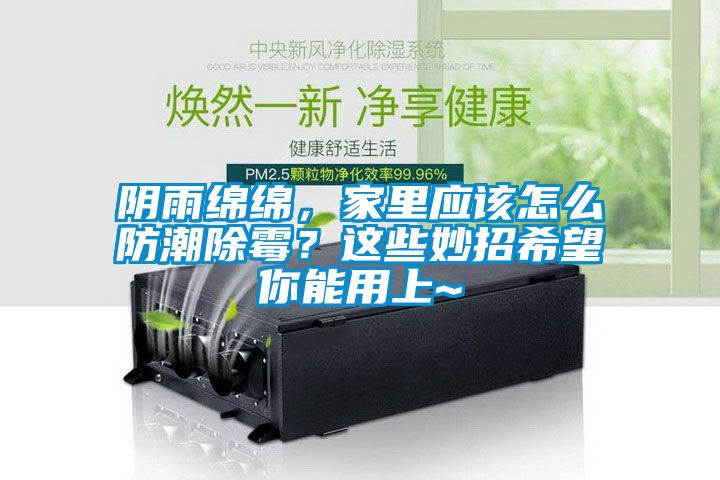 陰雨綿綿，家里應(yīng)該怎么防潮除霉？這些妙招希望你能用上~