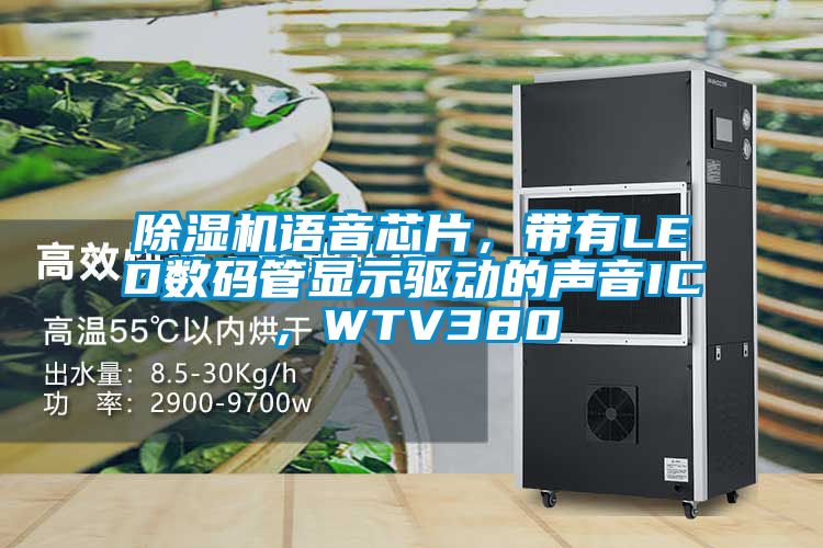 除濕機語音芯片，帶有LED數(shù)碼管顯示驅(qū)動的聲音IC，WTV380