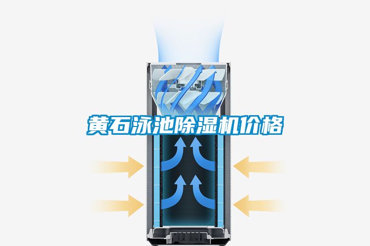 黃石泳池除濕機(jī)價格