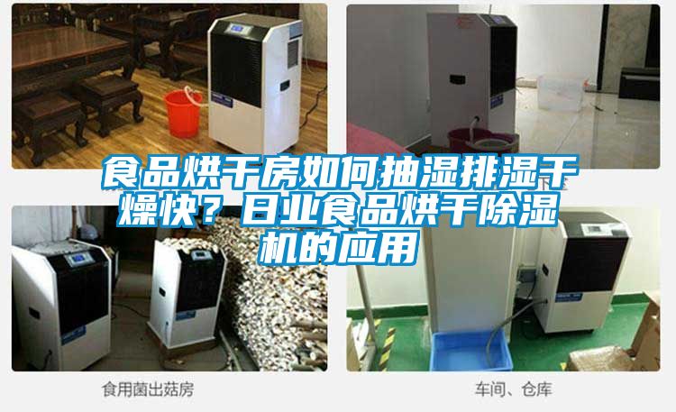 食品烘干房如何抽濕排濕干燥快？日業(yè)食品烘干除濕機的應用