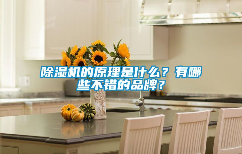 除濕機(jī)的原理是什么？有哪些不錯(cuò)的品牌？