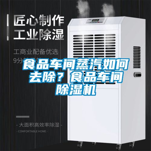 食品車間蒸汽如何去除？食品車間除濕機(jī)