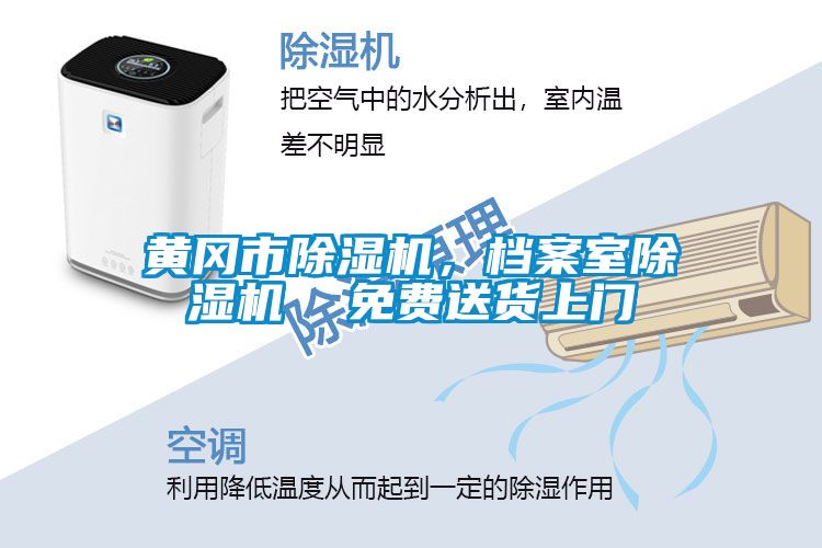 黃岡市除濕機，檔案室除濕機  免費送貨上門