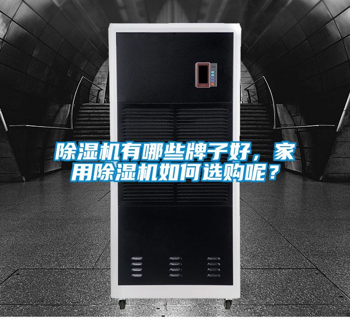 除濕機有哪些牌子好，家用除濕機如何選購呢？