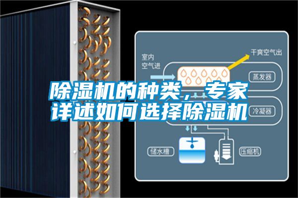 除濕機(jī)的種類，專家詳述如何選擇除濕機(jī)