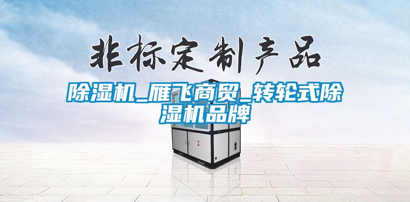 除濕機_雁飛商貿(mào)_轉(zhuǎn)輪式除濕機品牌
