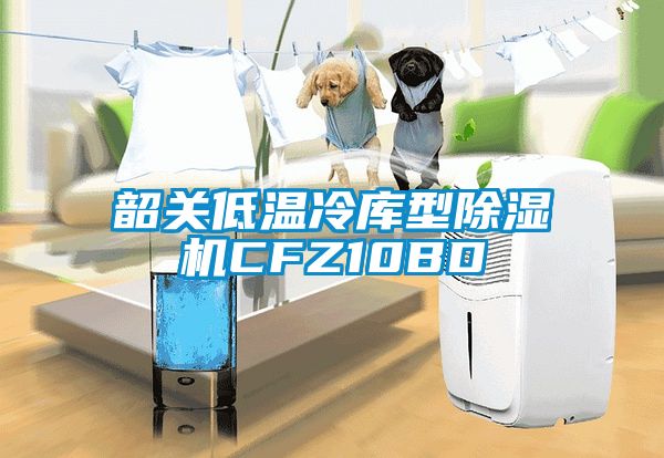韶關(guān)低溫冷庫型除濕機(jī)CFZ10BD