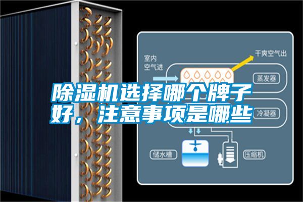 除濕機選擇哪個牌子好，注意事項是哪些