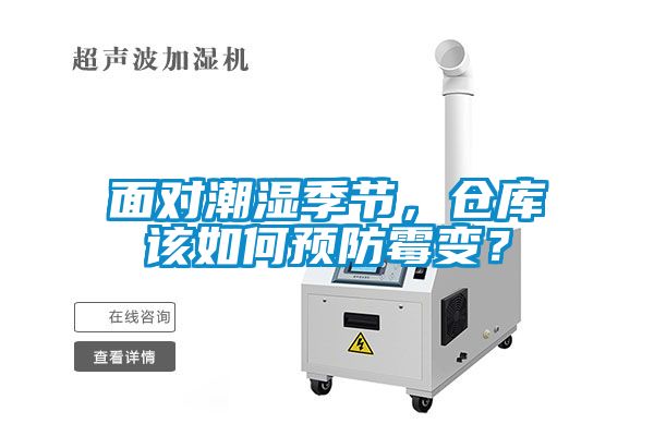 面對潮濕季節(jié)，倉庫該如何預(yù)防霉變？