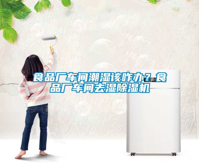 食品廠車間潮濕該咋辦？食品廠車間去濕除濕機