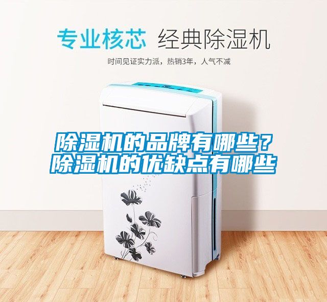 除濕機的品牌有哪些？除濕機的優(yōu)缺點有哪些