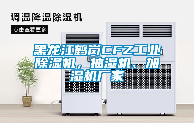 黑龍江鶴崗CFZ工業(yè)除濕機(jī)，抽濕機(jī)、加濕機(jī)廠家