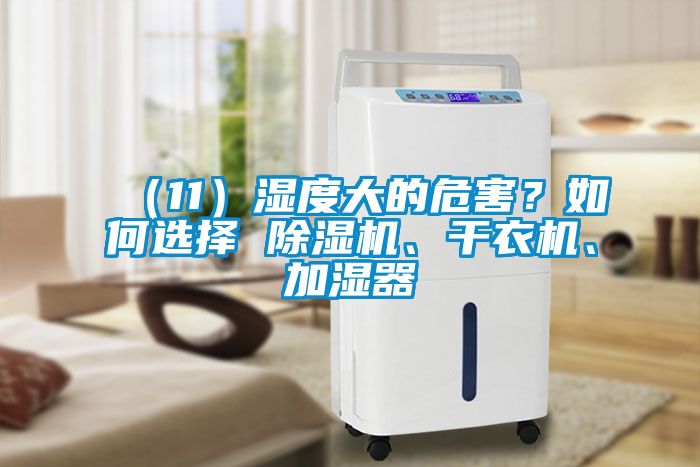 （11）濕度大的危害？如何選擇 除濕機、干衣機、加濕器