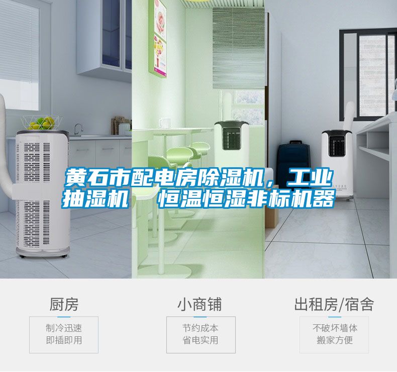 黃石市配電房除濕機(jī)，工業(yè)抽濕機(jī)  恒溫恒濕非標(biāo)機(jī)器