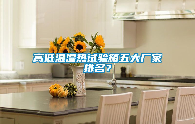 高低溫濕熱試驗(yàn)箱五大廠家排名？