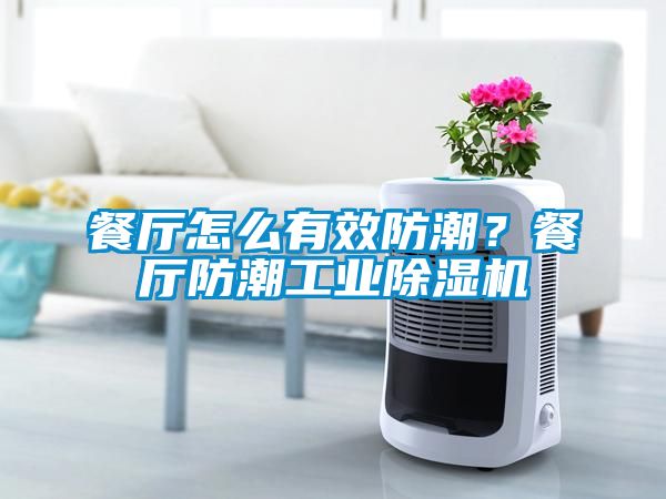 餐廳怎么有效防潮？餐廳防潮工業(yè)除濕機