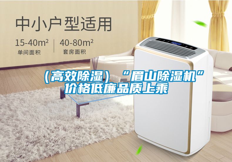 （高效除濕）“眉山除濕機”價格低廉品質(zhì)上乘
