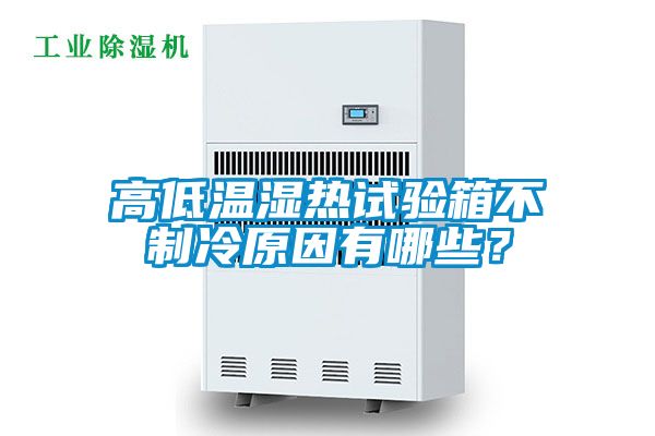 高低溫濕熱試驗(yàn)箱不制冷原因有哪些？