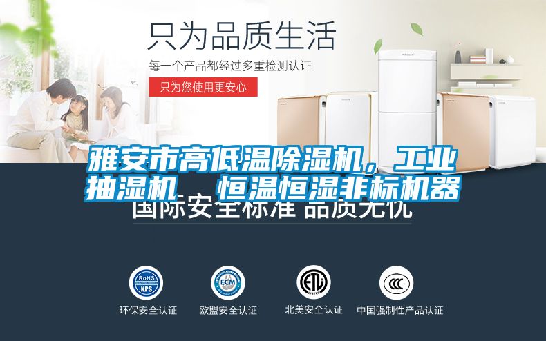 雅安市高低溫除濕機(jī)，工業(yè)抽濕機(jī)  恒溫恒濕非標(biāo)機(jī)器