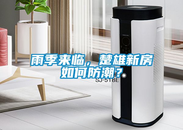 雨季來(lái)臨，楚雄新房如何防潮？