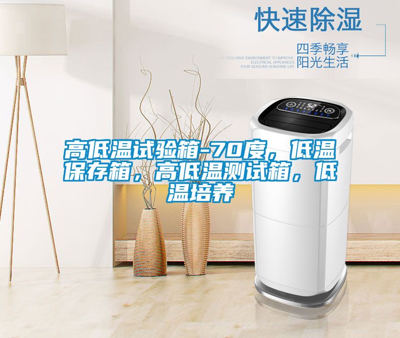 高低溫試驗箱-70度，低溫保存箱，高低溫測試箱，低溫培養(yǎng)