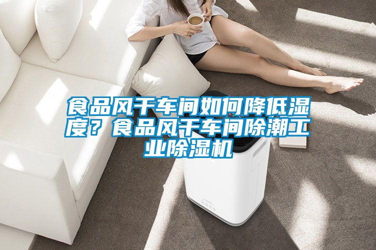 食品風干車間如何降低濕度？食品風干車間除潮工業(yè)除濕機