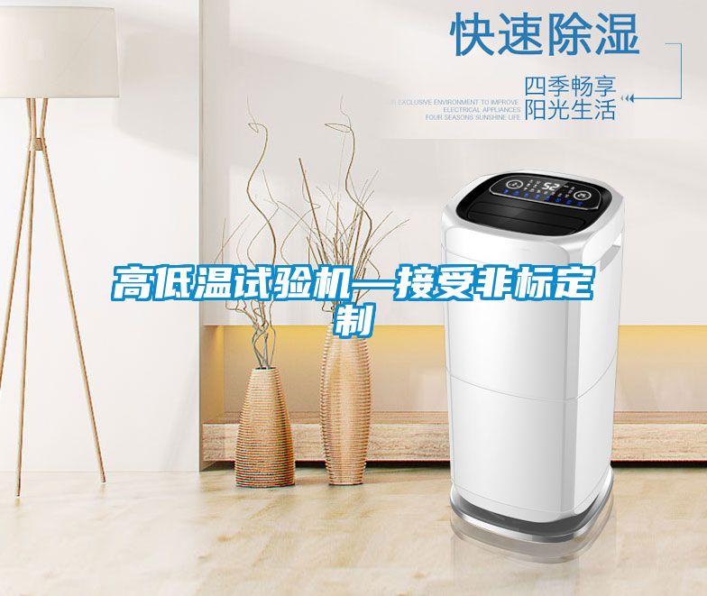 高低溫試驗機(jī)—接受非標(biāo)定制
