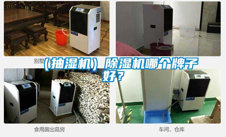 （抽濕機）除濕機哪個牌子好？