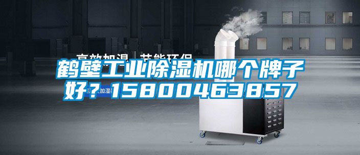 鶴壁工業(yè)除濕機(jī)哪個(gè)牌子好？15800463857